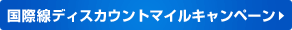 ���ې��f�B�X�J�E���g�}�C���L�����y�[��