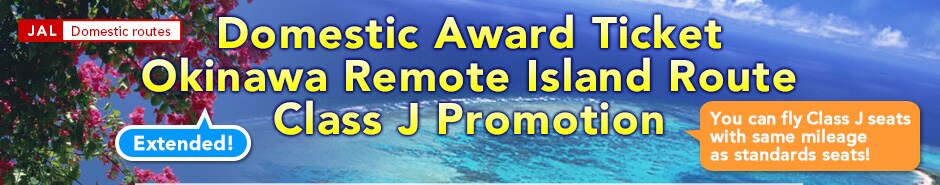 Domestic Award Ticket Okinawa Remote Island Route Class J Promotion