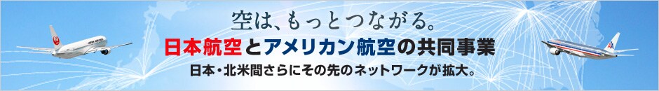 ��́A�����ƂȂ���B�@���{�q��ƃA�����J���q��̋������Ɓ@���{�E�k�ĊԂ���ɂ��̐�l�b�g���[�N���g��B