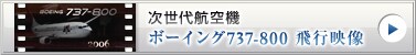 ������q��@�@�{�[�C���O737-800 ��s�f��