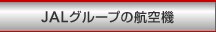 JAL�O���[�v�̍q��@