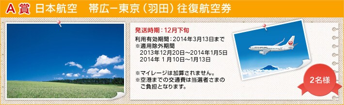 A�� ���{�q��@�эL�|�����i�H�c�j�����q�󌔔��������F12�����{���p�L�����ԁF2014�N3��13���܂Ł��K�p���O���� 2013�N12��20���`2014�N1��5��  2014�N1��10���`1��13�����}�C���[�W�͉��Z����܂���B����`�܂ł̌�ʔ�͓��I�҂��܂̂����S�ƂȂ�܂��B 2���l