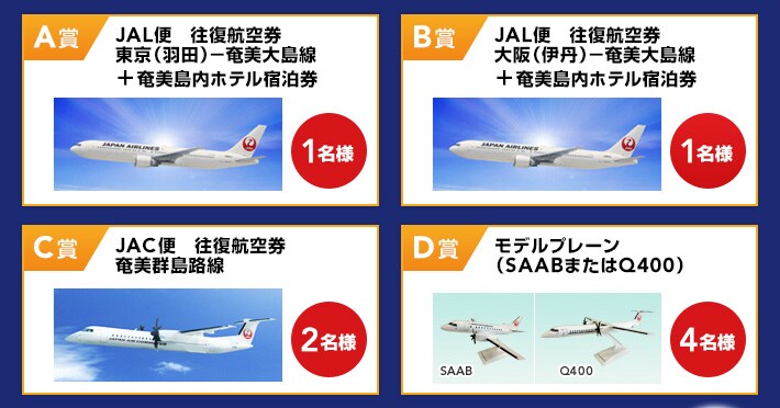 A�܁@JAL�ց@�����q�󌔁@�����i�H�c�j�|�����哇���{���������z�e���h�����@1���l�@B�܁@JAL�ց@�����q�󌔁@���i�ɒO�j�|�����哇���{���������z�e���h�����@1���l�@C�܁@JAC�ց@�����q�󌔁@�����Q���H���@2���l�@D�܁@���f���v���[���@�iSAAB�܂���Q400�j�@4���l