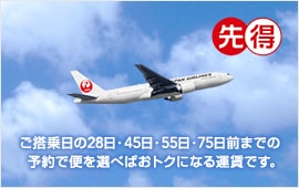 �u�擾�v���������28���E45���E55���E75���O�܂ł̗\��ŕւ�I�ׂ΂��g�N�ɂȂ�^���ł��B