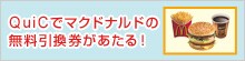 QuiC�Ń}�N�h�i���h�̖�����������������I