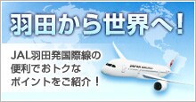 JAL�H�c�����ې��֗̕��ł��g�N�ȃ|�C���g�����Љ�I