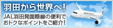 JAL�H�c�����ې��֗̕��ł��g�N�ȃ|�C���g�����Љ�I