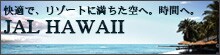 ���K�ŁA���]�[�g�ɖ�������ցB���ԂցBJAL HAWAII
