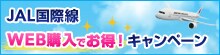JAL���ې� WEB�w���ł����I�L�����y�[��