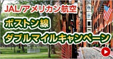 JAL/�A�����J���q��@�{�X�g�����_�u���}�C���L�����y�[��