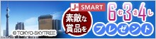 J-SMART �f�G�ȏ��i���v���[���g