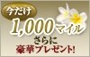 JAL�o�P�[�V�����Y�@�}���I�b�g�̌��n������Q���ō��Ȃ�1000�}�C���I
