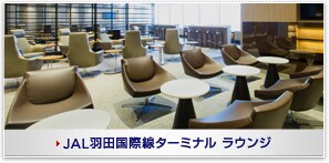 JAL�H�c���ې��^�[�~�i�� ���E���W