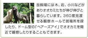 ������ɂ͖؁A��A����Ȃǂ�����I�I�J�~�������L�ѐL�тƕ�炵�Ă��܂��B360�x���n����ώ@�z�[���ŋ��ꏊ��T������A�h�[���^�́u�w�A�[�Y�A�C�v�ŃI�I�J�~���ԋ߂Ŋώ@�����肷�邱�Ƃ��ł��܂��B