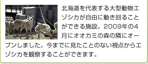 �k�C�����\�����^�����G�]�V�J�����R�ɓ�����邱�Ƃ��ł���{�݁B2009�N��4���ɃI�I�J�~�̐X�ׂ̗ɃI�[�v�����܂����B���܂łɌ������Ƃ̂Ȃ���������G�]�V�J���ώ@���邱�Ƃ��ł��܂��B