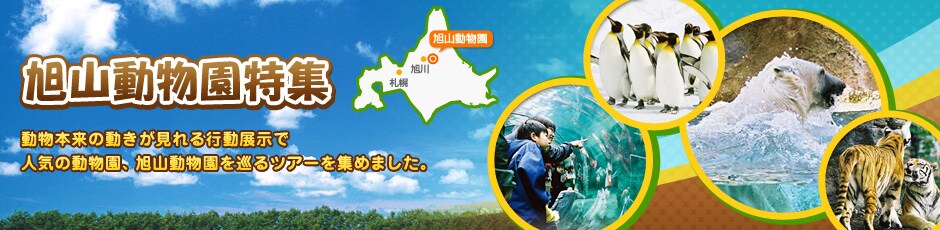 ���R���������W �����{���̓�����������s���W���Ől�C�̓������A���R������������c�A�[���W�߂܂����B�Ċ��J�����F2012�N4��28���i�y�j�`11��3���i�y�E�j���j�@�~�G�J�����F2012�N11��18���i���j�`2013�N4��7���i���j�@�J�����ԁF�ߑO9��30���`�ߌ�5��15���i�������͌ߌ�4��15���܂Łj