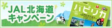 JAL�k�C���L�����y�[��