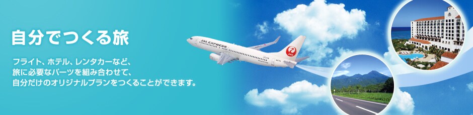 �t���C�g�A�z�e���A�����^�J�[�ȂǁA���ɕK�v�ȃp�[�c��g�ݍ��킹�āA���������̃I���W�i���v���������邱�Ƃ��ł��܂��B