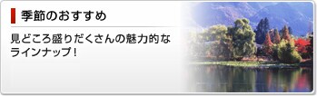 季節のおすすめ 見どころ盛りだくさんの魅力的なラインナップ!