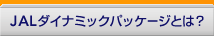 JAL�_�C�i�~�b�N�p�b�P�[�W�Ƃ́H
