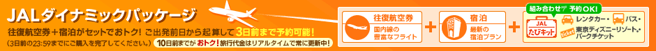 JAL�_�C�i�~�b�N�p�b�P�[�W
