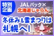 JAL�~������ �~�x�݁���Ղ�͎D�y�ցI