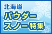 �k�C���p�E�_�[�X�m�[���W