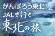 ����΂낤���k�IJAL�ōs�����k�̗�