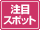 ���ڃX�|�b�g
