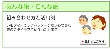 ����ȗ��E����ȗ��@�g�ݍ��킹���Ɗ��p��@JAL�_�C�i�~�b�N�p�b�P�[�W������ł��闷�̃X�^�C�������Љ�����܂��B