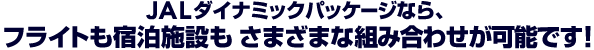 JALダイナミックパッケージなら、フライトも宿泊施設も さまざまな組み合わせが可能です!