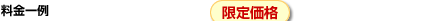 �������@2012�N4��1����ԕ���艫����V�ό��o�X���ꗥ500�~�I�@��JAL���уL�b�g �_�C�i�~�b�N�p�b�P�[�W�X�y�V�������艿�i