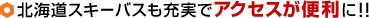 �k�C���X�L�[�o�X���[���ŃA�N�Z�X���֗��ɁI�I