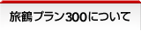 ���߃v����300�ɂ���