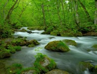 �X�����璡�������ی�ۏ���