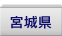 �{�錧