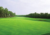 �g���E���g�\���S���t�R�[�X