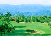 �����S���t�N���u