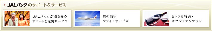 JAL�p�b�N�̃T�|�[�g���T�[�r�X�@JAL�p�b�N��������S�T�|�[�g�Ə[���T�[�r�X�@���̍����t���C�g�T�[�r�X�@���g�N�ȓ��T�E�I�v�V���i���v����