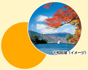 �\�a�c�΁i�C���[�W�j