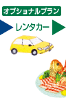 �I�v�V���i���v���� �����^�J�[