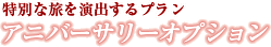 ���ʂȗ������o����v�����@�A�j�o�[�T���[�I�v�V����