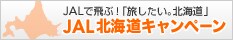 JAL�Ŕ�ԁI�u���������B�k�C���v�@JAL�k�C���L�����y�[��
