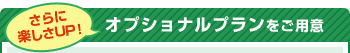 4�@����Ɋy����UP�@�I�v�V���i���v���������p��