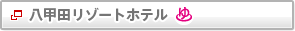 ���b�c���]�[�g�z�e���@����t��