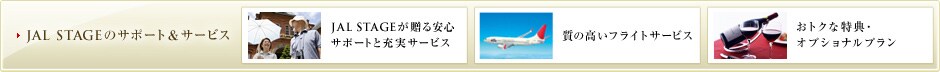 JAL STAGE�̃T�|�[�g���T�[�r�X