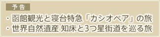 �\���@�E���يό��ƐQ����}�u�J�V�I�y�A�v�̗� �E���E���R��Y �m����3���X�������闷