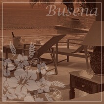 Busena