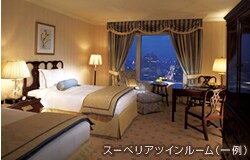 �X�[�y���A�c�C�����[���i���j