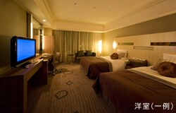 �{��/�X�[�x���A�c�C�����[���i���j